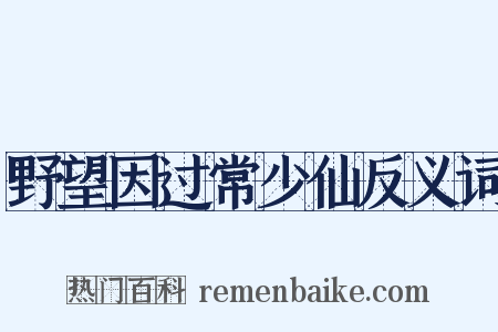 野望因过常少仙反义词是什么意思的图片
